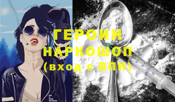 сатива Новозыбков