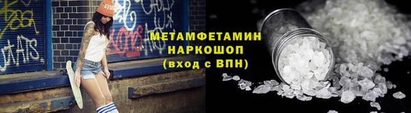 сатива Новозыбков