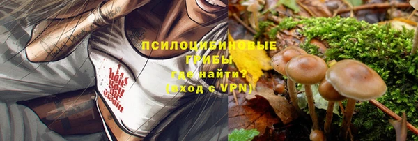 дживик Канск