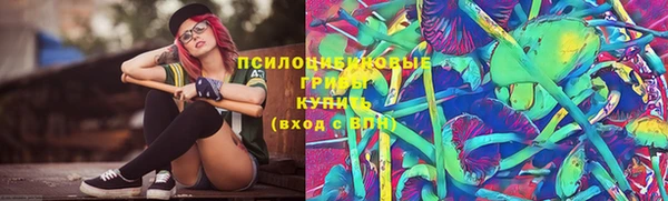 Альфа ПВП Новокубанск