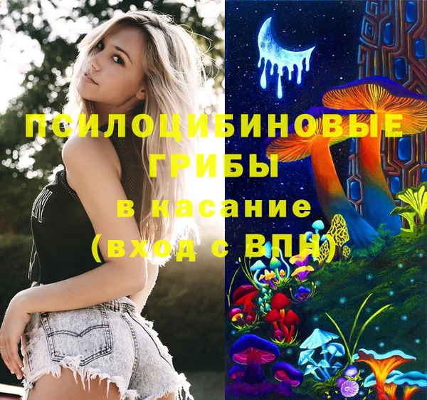 мяу мяу мука Новодвинск
