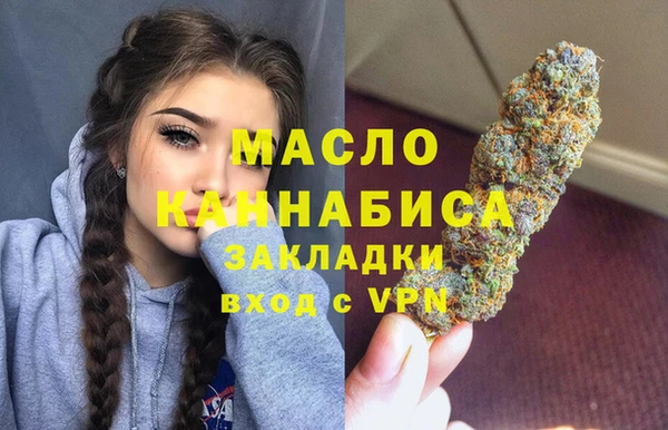 сатива Новозыбков