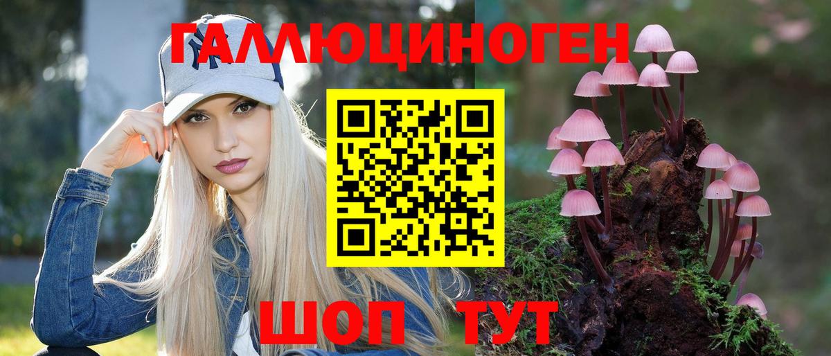 Псилоцибиновые грибы ЛСД  Кондопога  Галлюциногенные грибы Magic Shrooms 