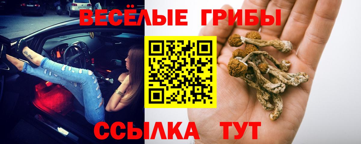 Псилоцибиновые грибы ЛСД Кондопога