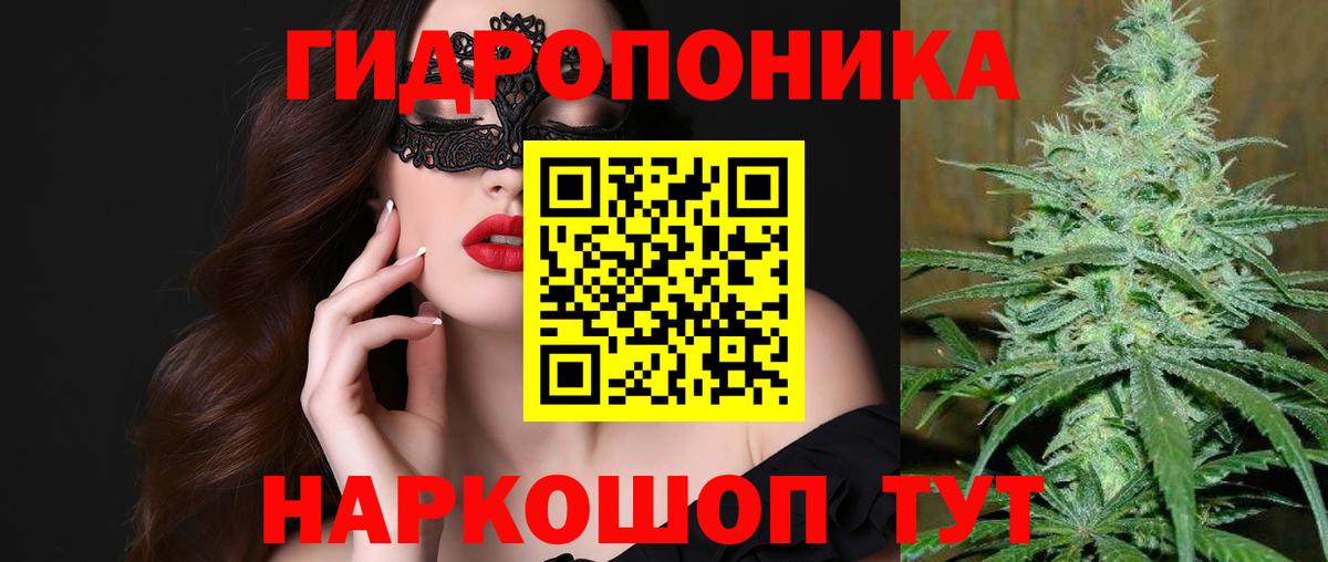 COCAIN Кондопога